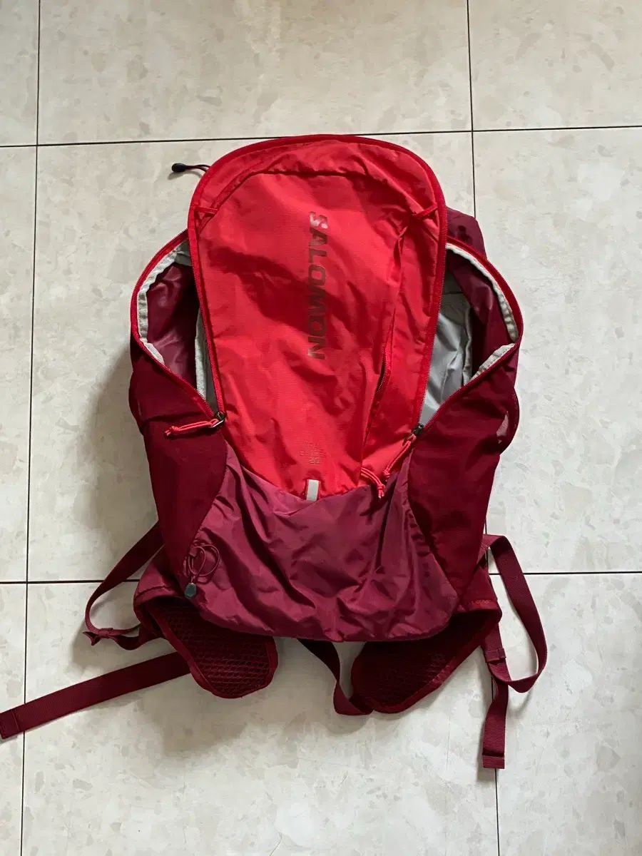 SALOMON サロモン バックパック リュックサック レッド|バーガンディ 20 L