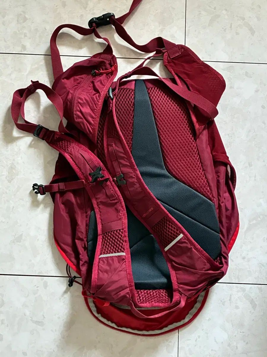  SALOMON サロモン バックパック リュックサック レッド|バーガンディ 20 L その他 アウトドアウェア小物