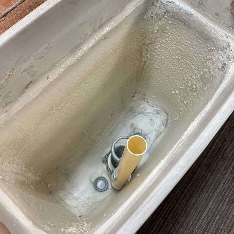 ミスティピンク