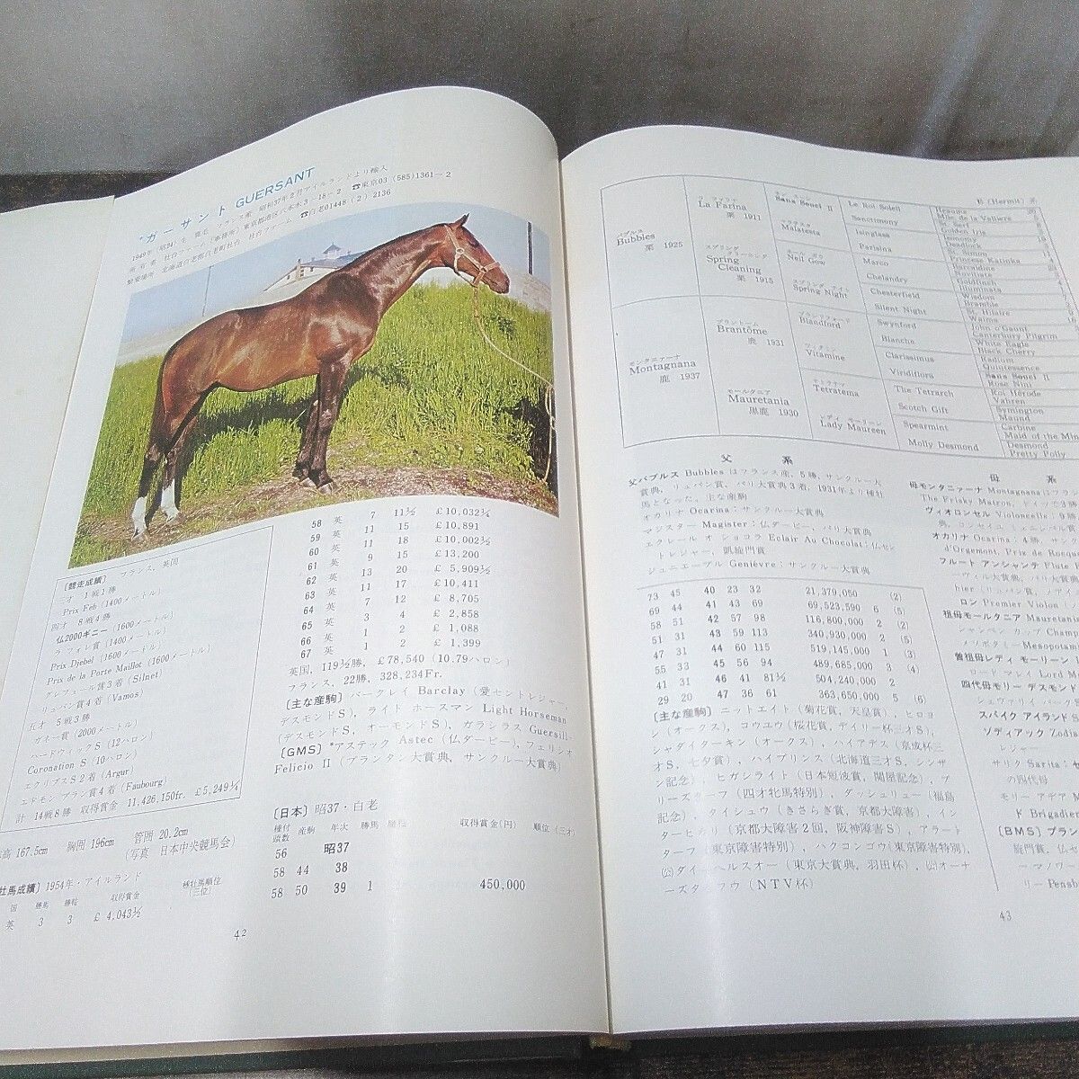 昭和レトロ 競馬本 「日本の種牡馬録 1973、サラブレッド種牡馬銘鑑