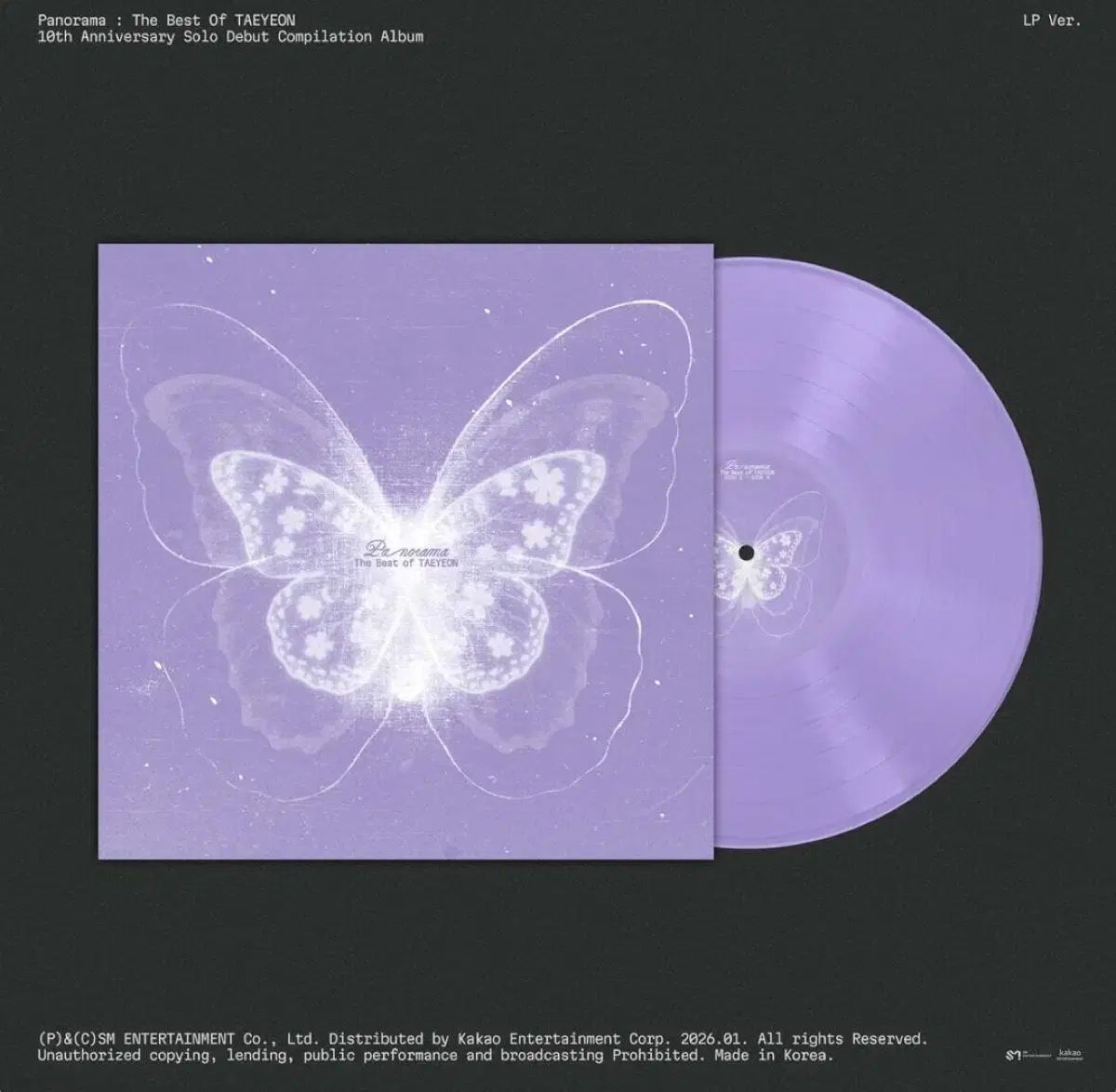 テヨン TAEYEON 10 周年 lp PANORAMA