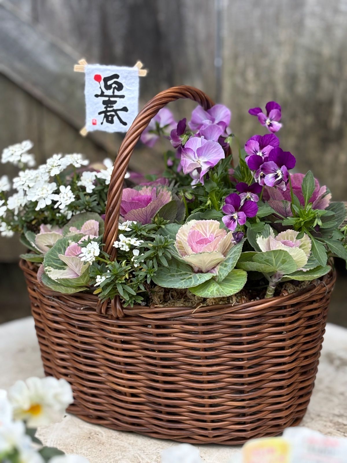 迎春寄せ植え① - メルカリ