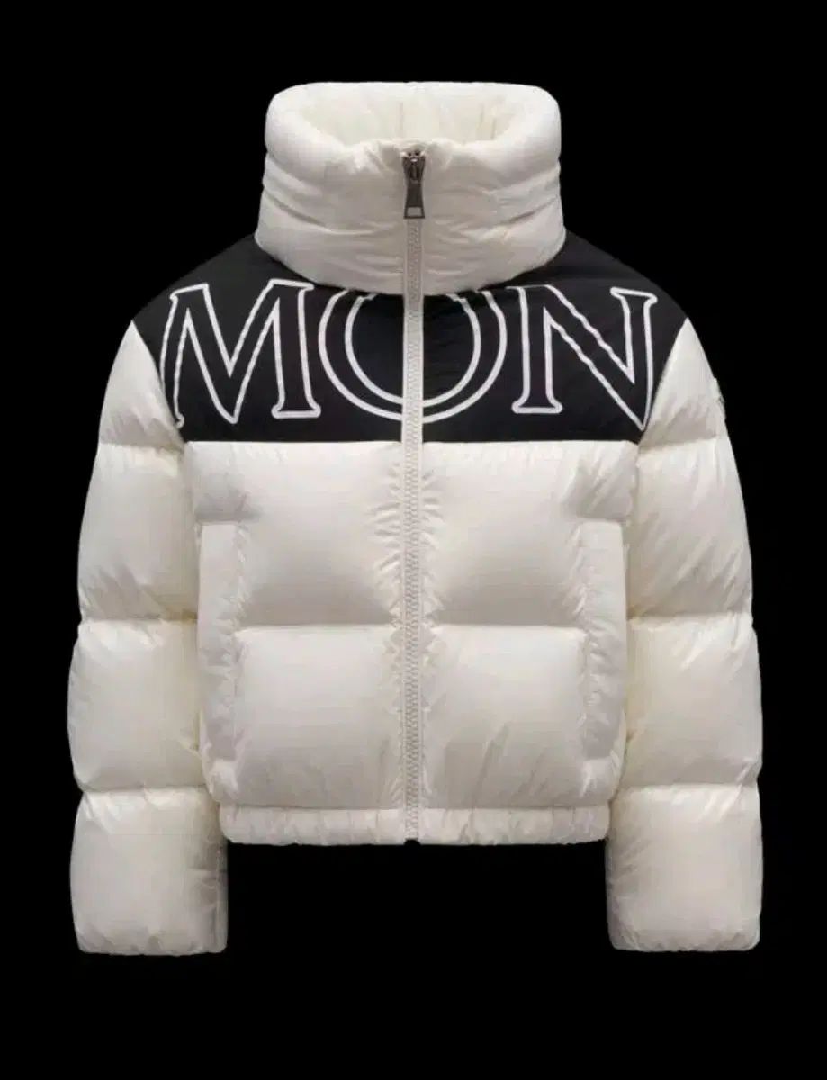 モンクレール GERS ダウン 10 A