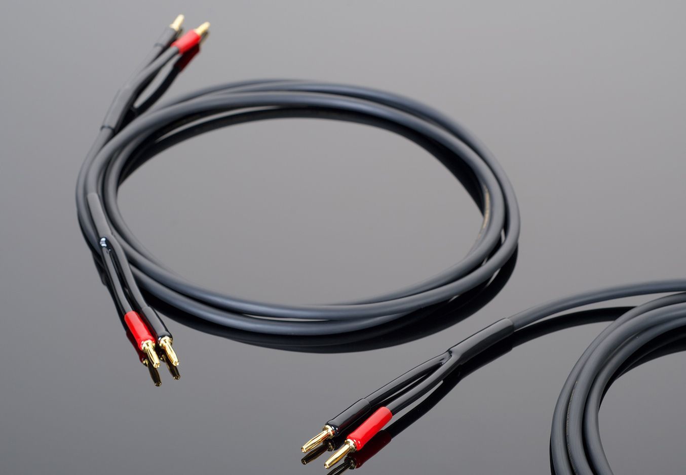 スピーカーケーブル hardwired 両端バナナ端子 ペア HESC 12 み 外箱なし