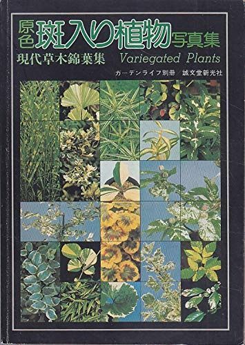 斑入り植物写真集―原色 現代草木錦葉集 1979年