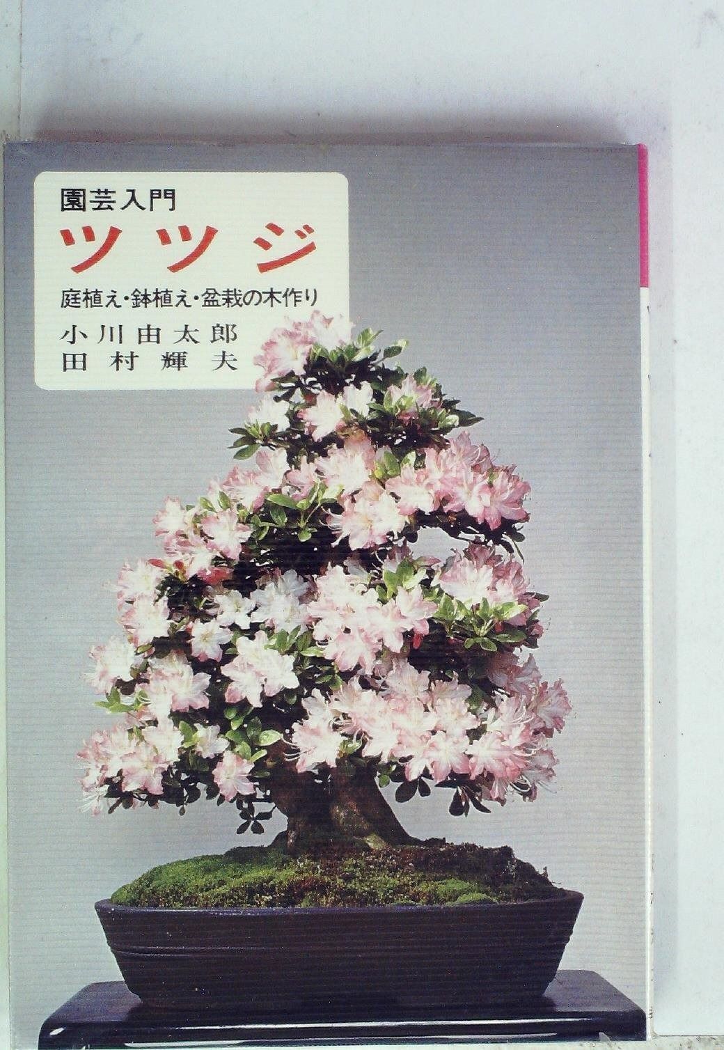 ツツジ―庭植え 鉢植え 盆栽の木作り 1978年 園芸入門