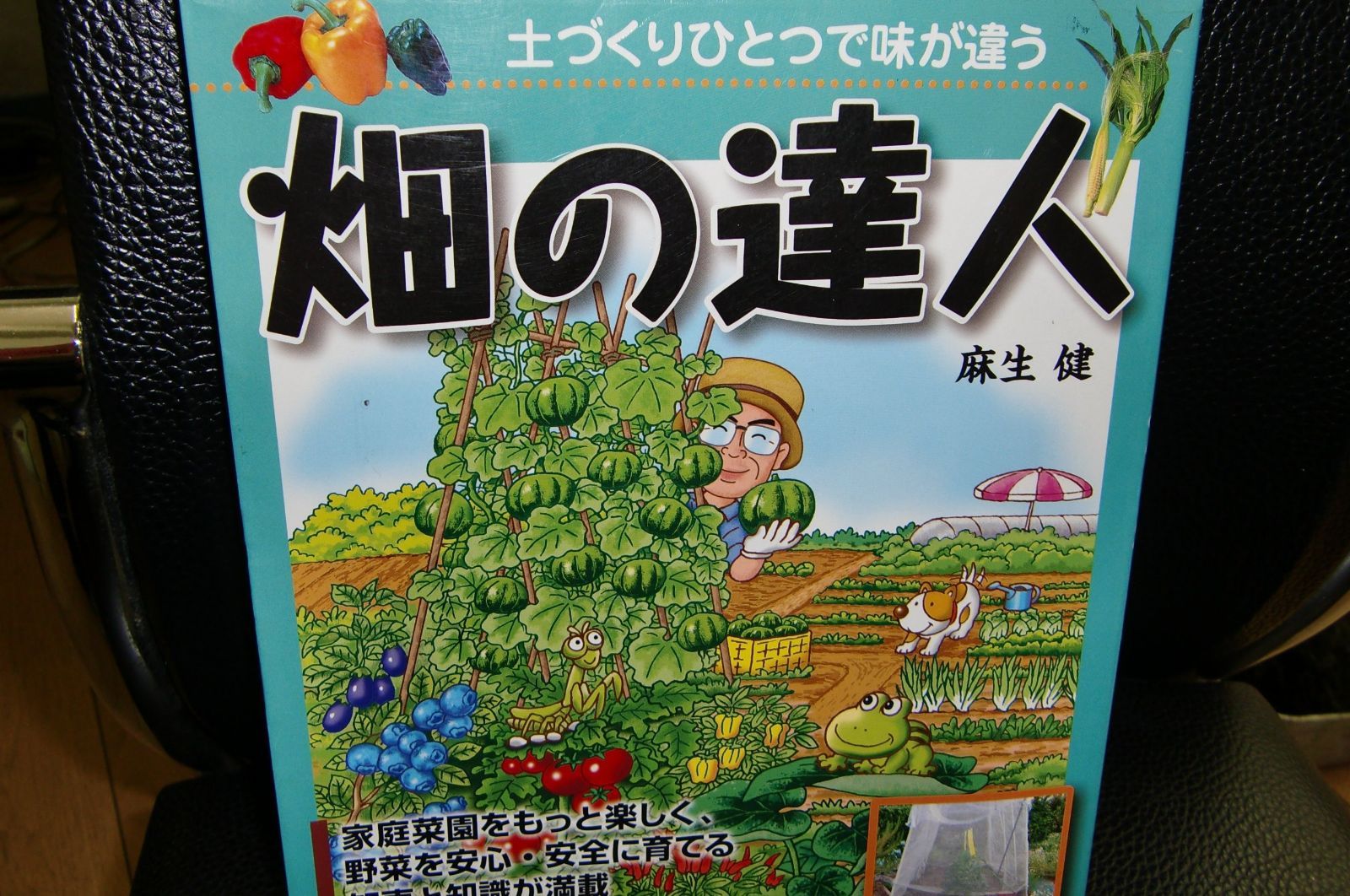 茶道具 掛軸 一行物「松風有清音」東福寺 林恵鏡 コレクション