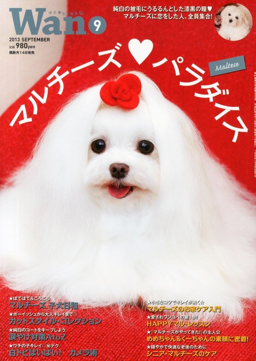 wan ワン 2013年 号 雑誌