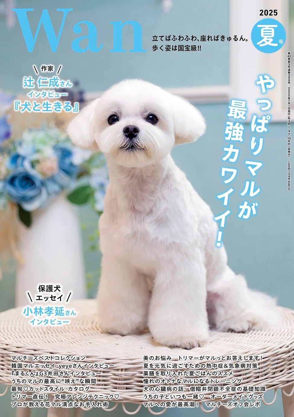 Wan 号 夏号 特集 やっぱりマルが最強カワイイ 雑誌