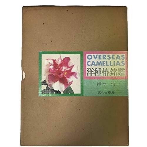 天然石、五十年前以上鹿児島で採取した石です 購入