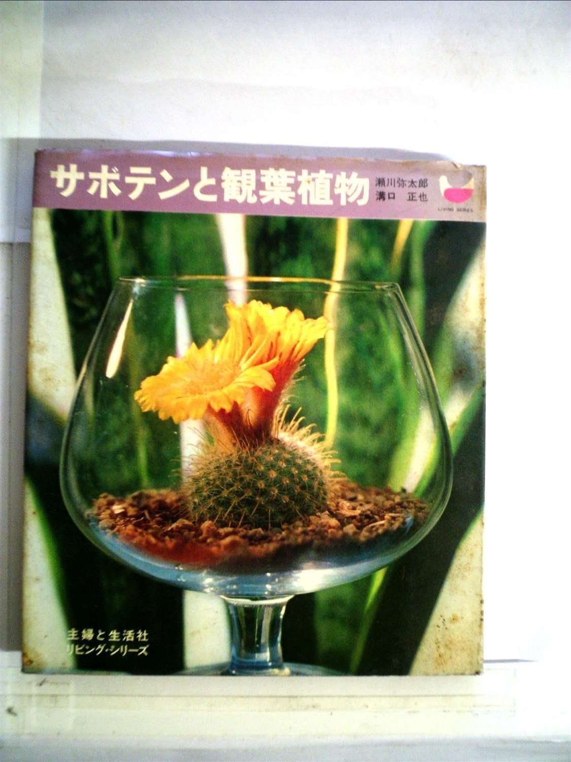 サボテンと観葉植物 1965年 リビング シリーズ