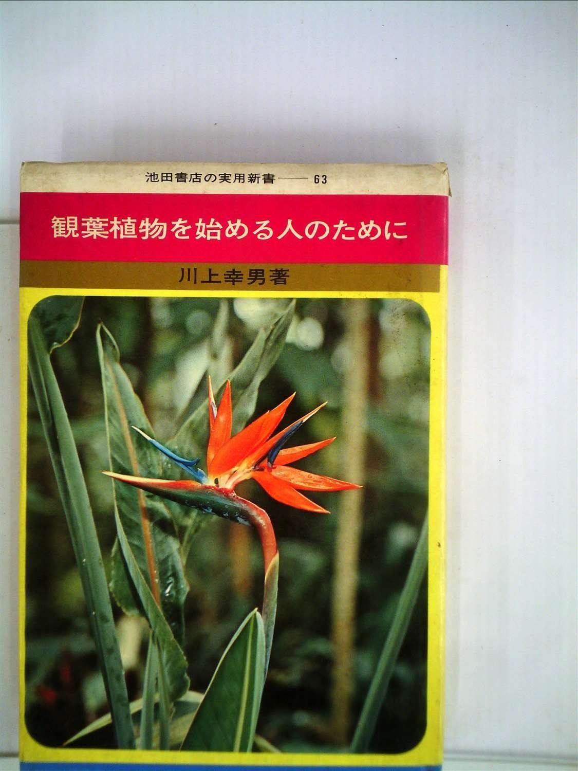 観葉植物を始める人のために 1965年