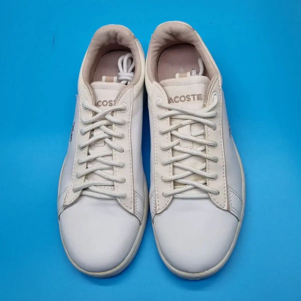 ラコステ レディーススニーカー 35 5 220