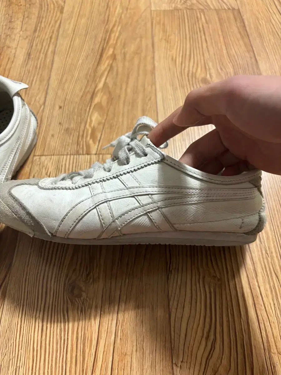 asics オニツカタイガー 66 240サイズ