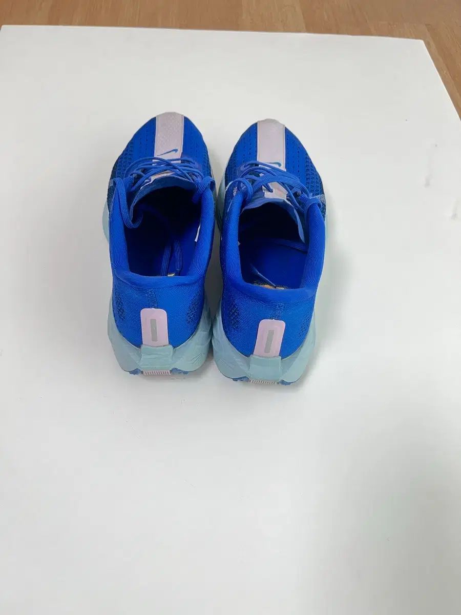  ナイキ ペガサス 265 その他 靴