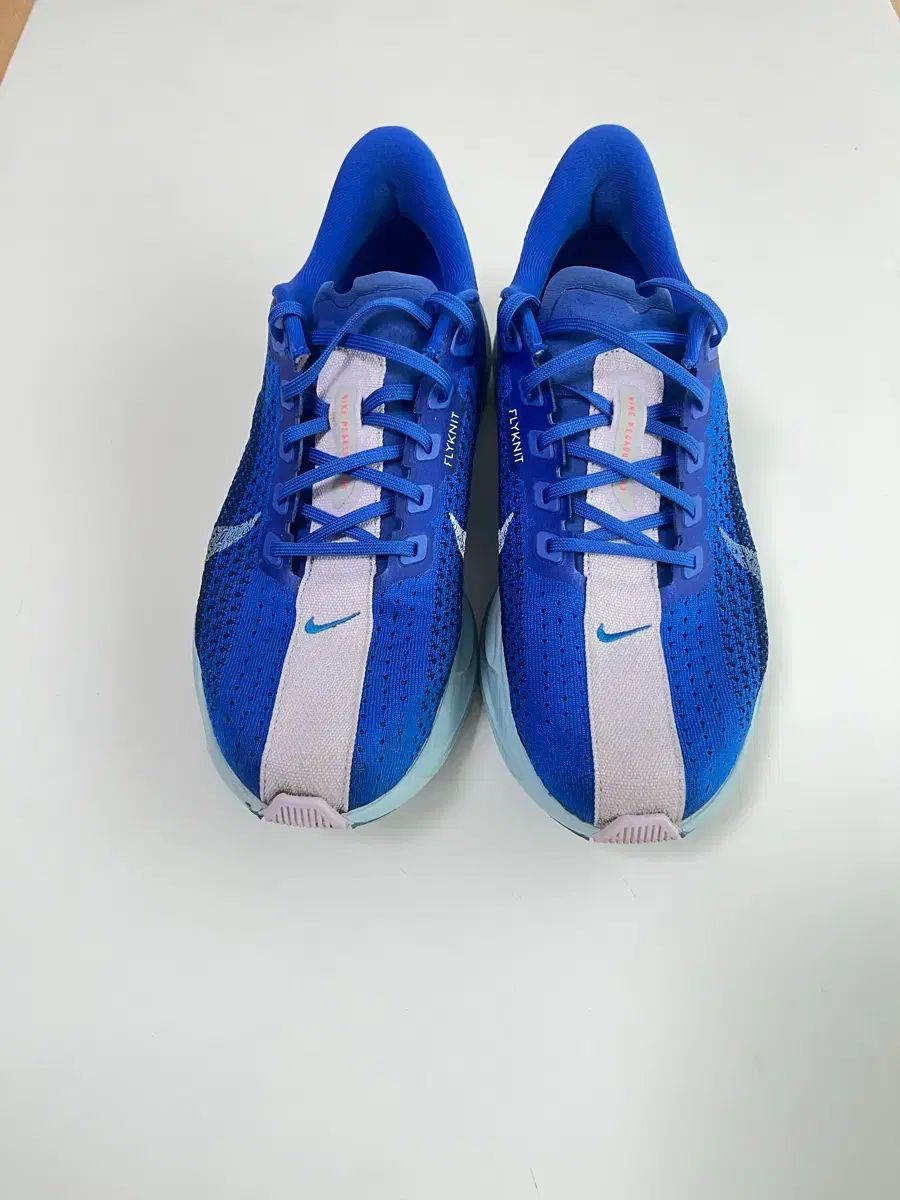 ナイキ ペガサス 265