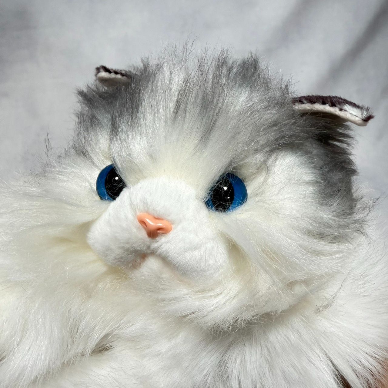 OneMall provides Mercari products: サンプル品☆ふわもこ猫ちゃん