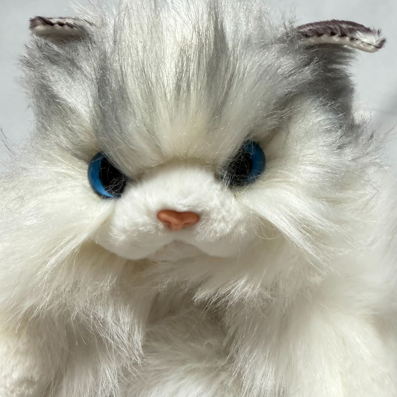 OneMall provides Mercari products: サンプル品☆ふわもこ猫ちゃん