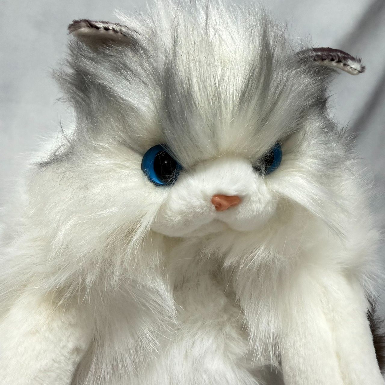 OneMall provides Mercari products: サンプル品☆ふわもこ猫ちゃん