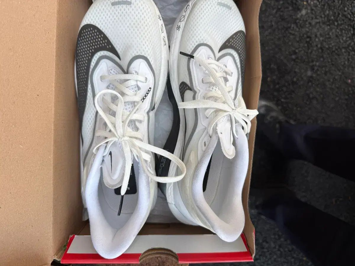 ナイキ ズームフライ 6 スモーク グレー 260 サイズ