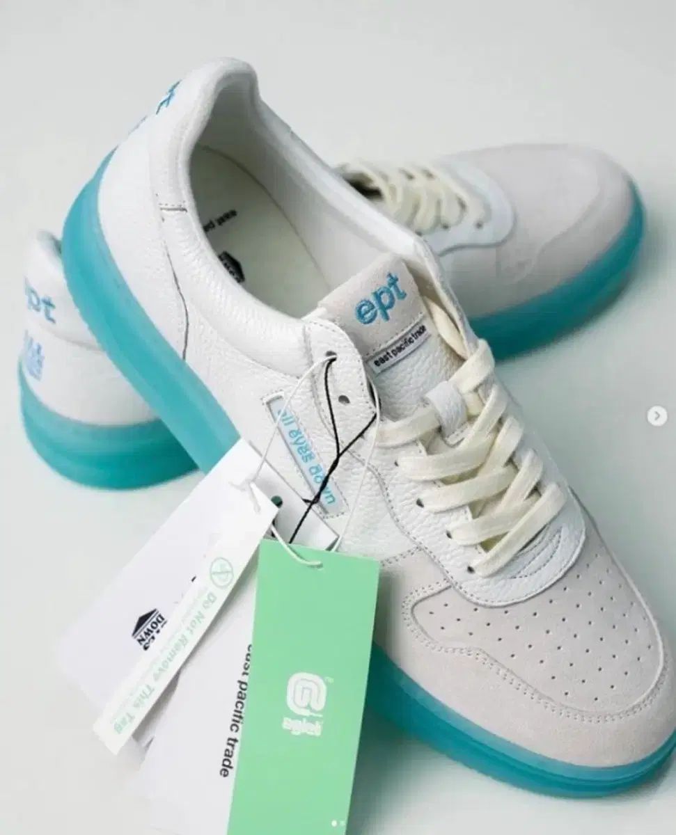 アイグレット ept コラボ ワディ 255