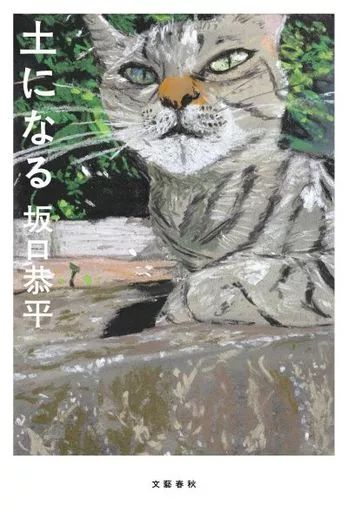 中古】単行本(実用) ≪社会≫ 土になる / 坂口恭平 - メルカリ