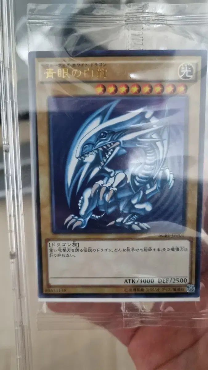 遊 戯 王 プーさん 青眼の白龍 モデル scb 1-jpp 01