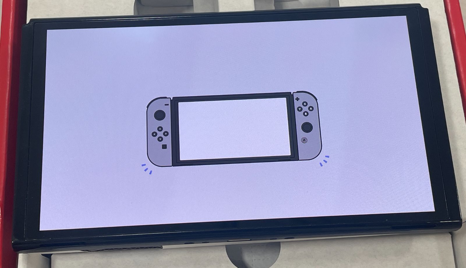 管理番号-P 任天堂Switch