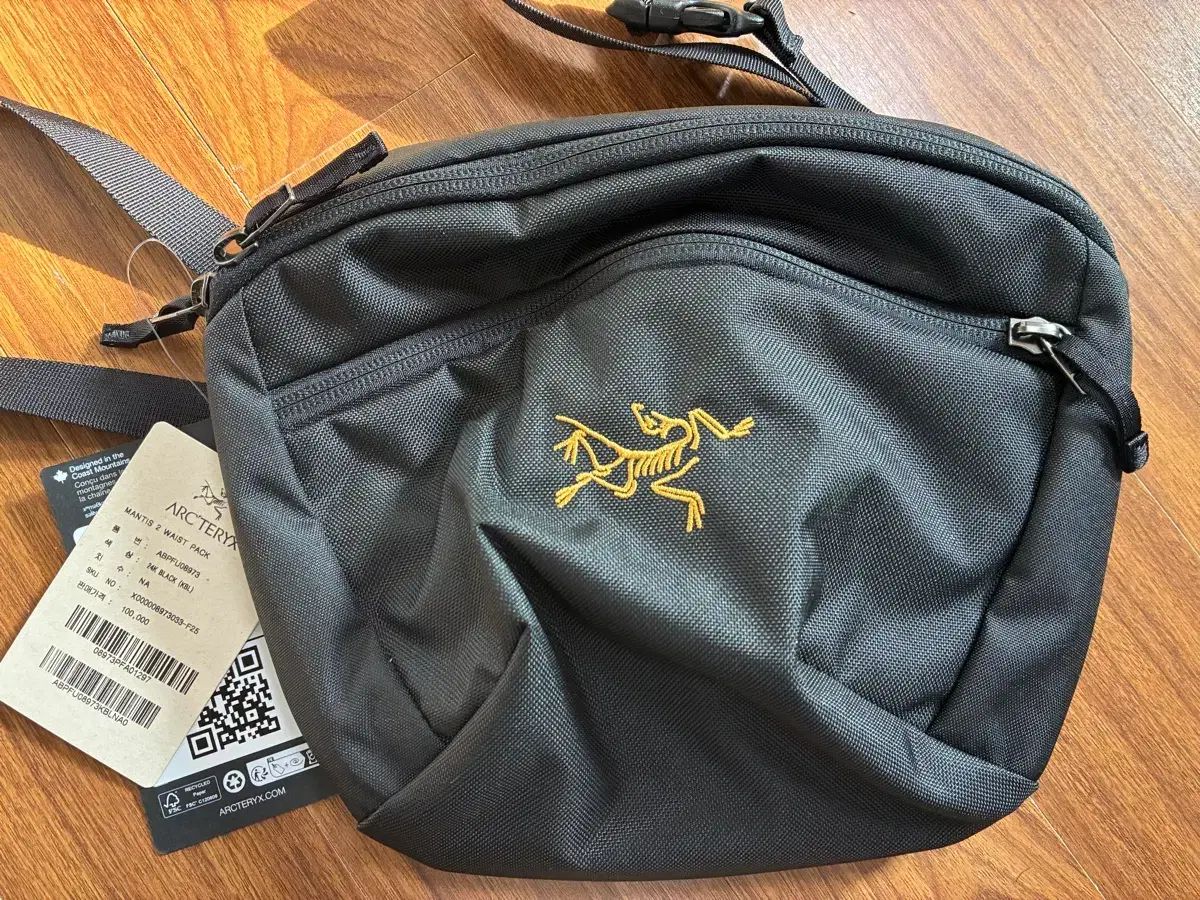 ARC TERYX アークテリクス マンティス２ ウェスト パック ブラック
