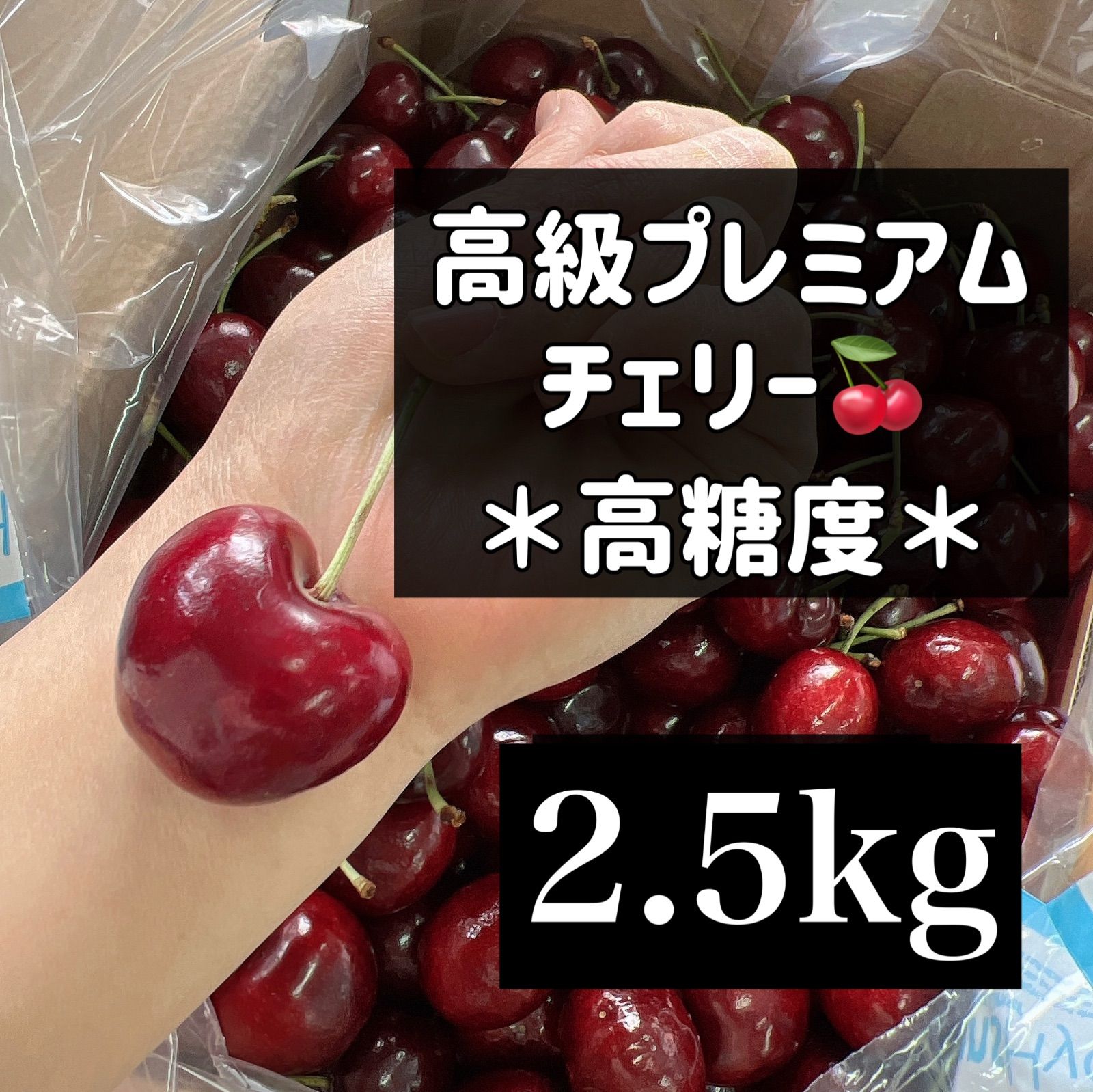 高級プレミアムチェリー 2.5kg チェリー さくらんぼ ダークチェリー 化粧箱