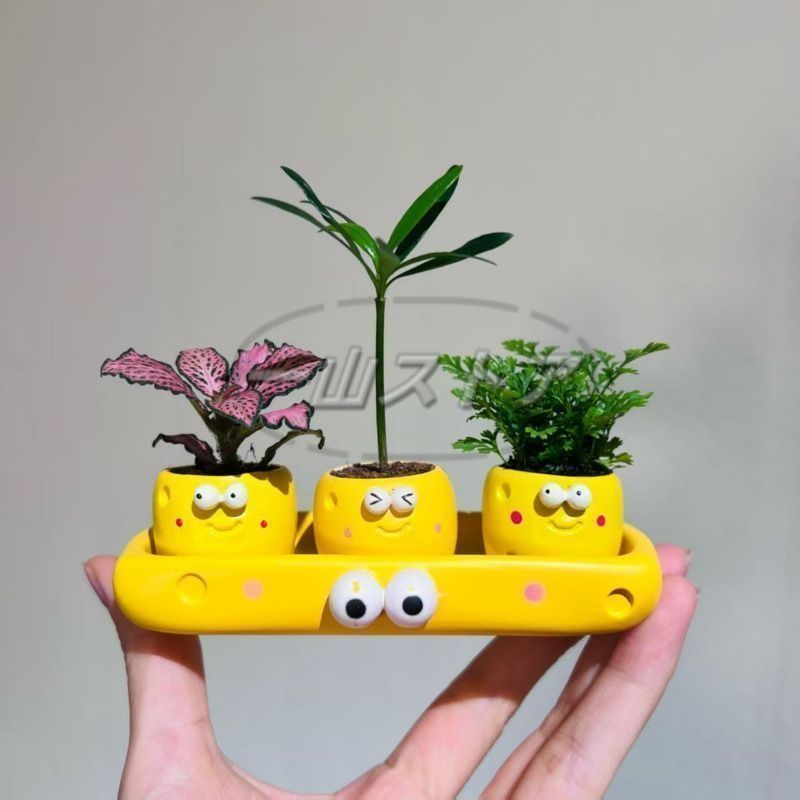 新品・未使用】鉢植え 植木鉢 プランター プラントポット フラワー