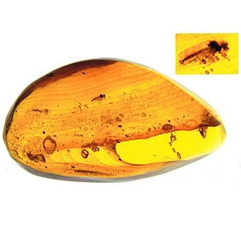 貴重な1点物!!☆虫入り琥珀（ルース）幅：約28mm※拡大写真付き