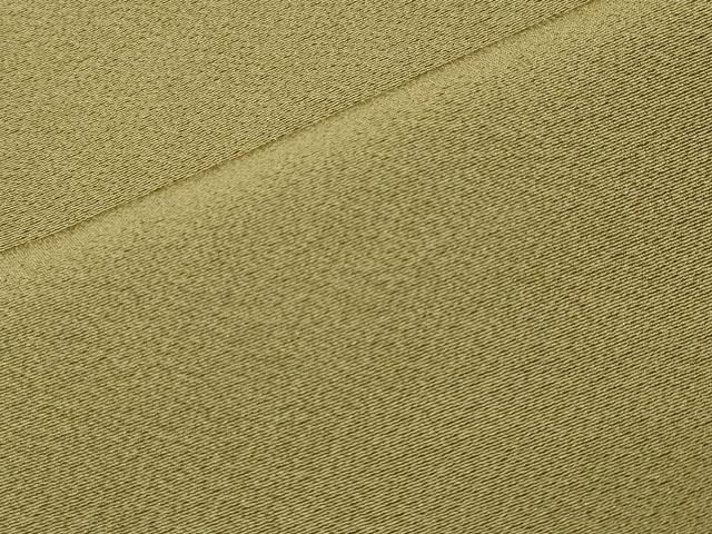 平和屋着物○上質な色無地 根岸色 ゑり正扱い 正絹 逸品 CABA9646gh