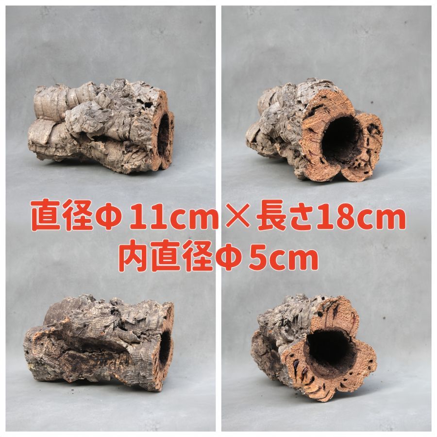 W446 ポルトガル産 キャノンコルク コルク樹皮 コルク板 バージン