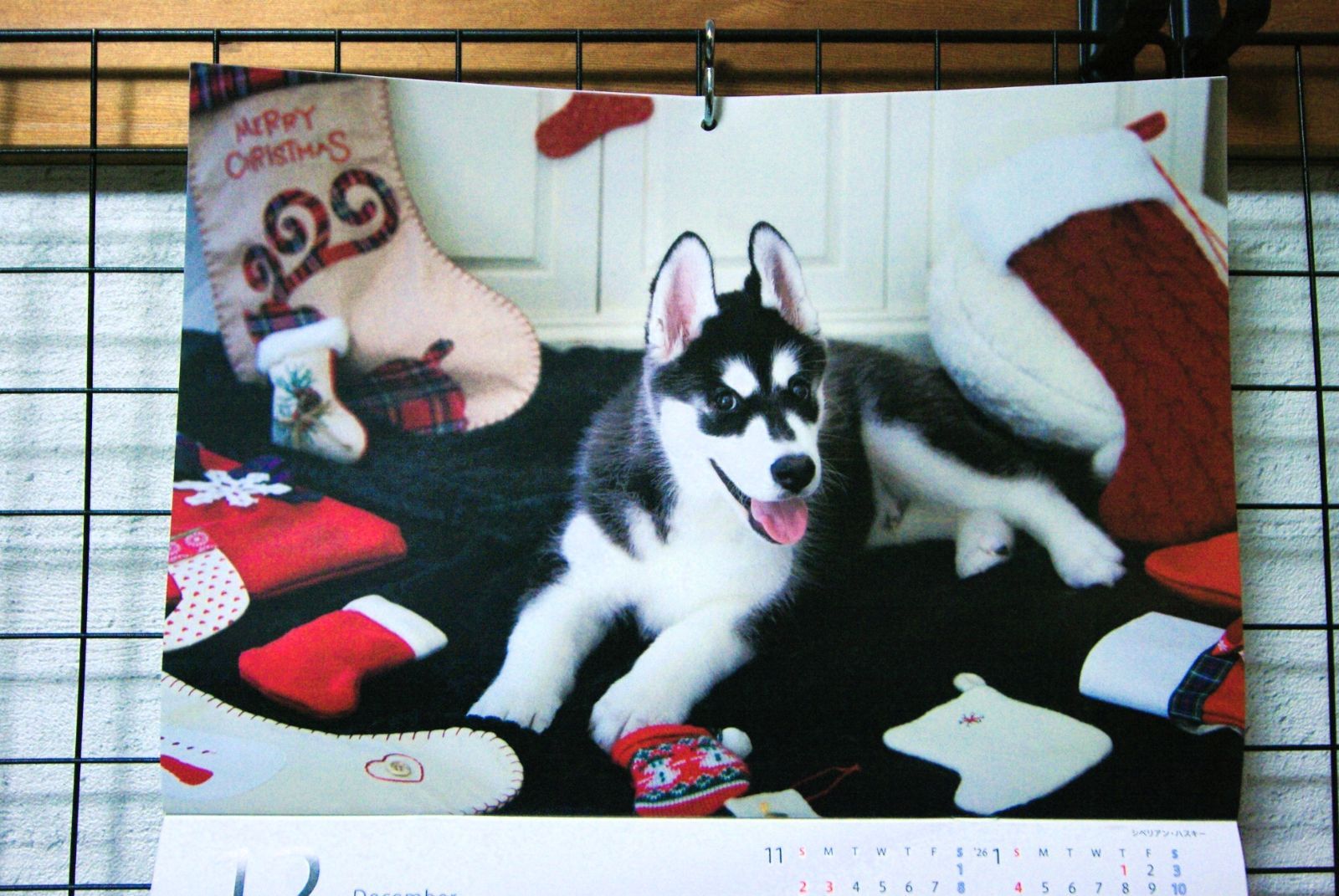 ペンタックス SMC