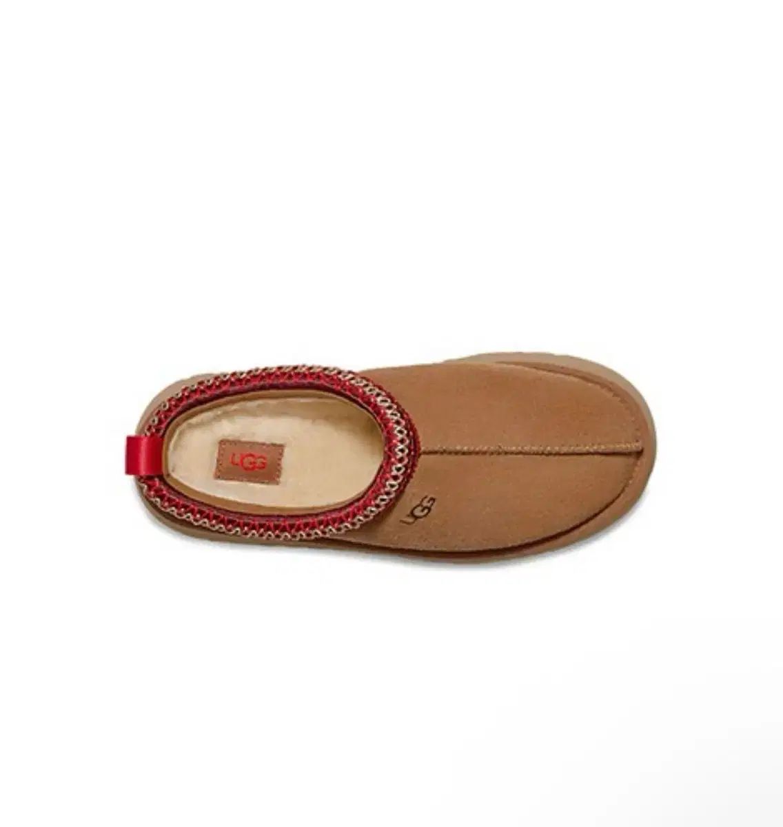 アグ タズ チェスナット us 7 アメリカ