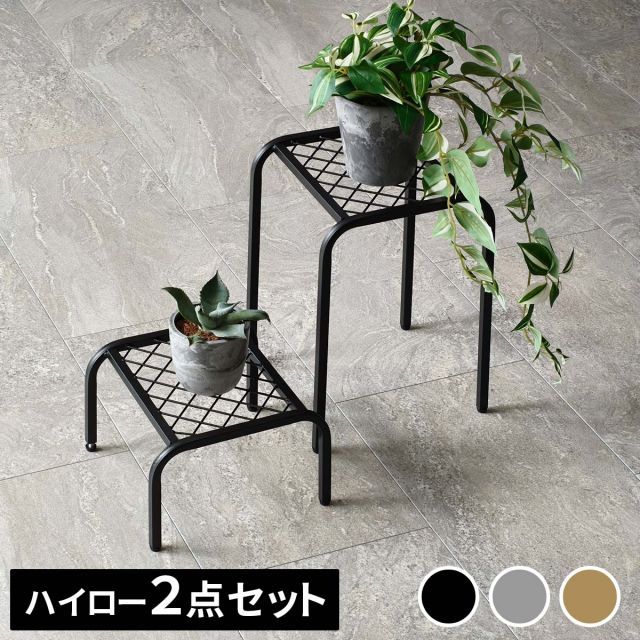 WHIPPET JP / STETSON ステットソン