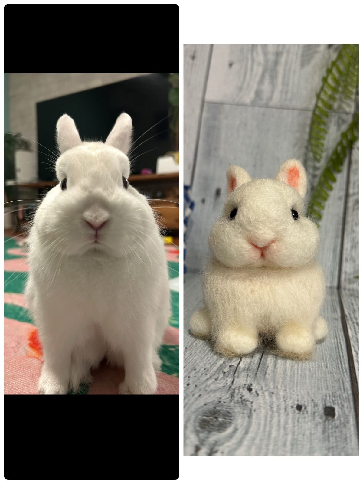 ちまっとあにまるず 羊毛フェルト うちの子オーダー ペット うちの子