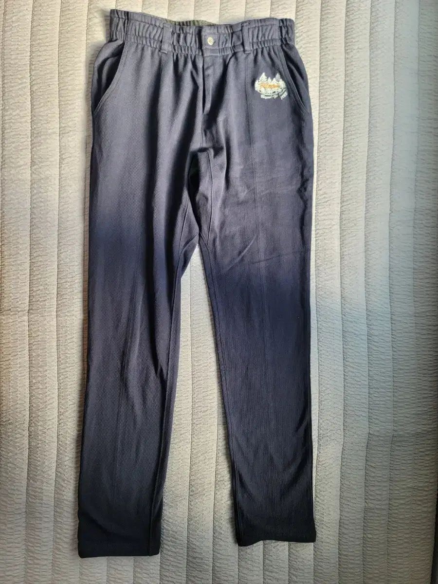 中学受験 わが子に眠る能力を引き出す方法 DVD 西村則康 逆転合格