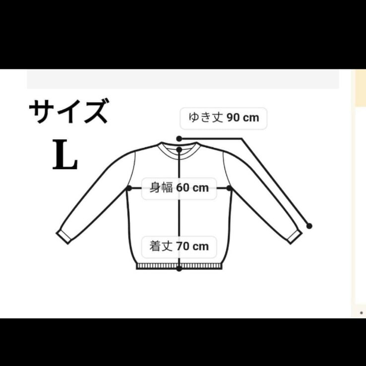 Standard California x Champion 別注 リバースウィーブ クルー