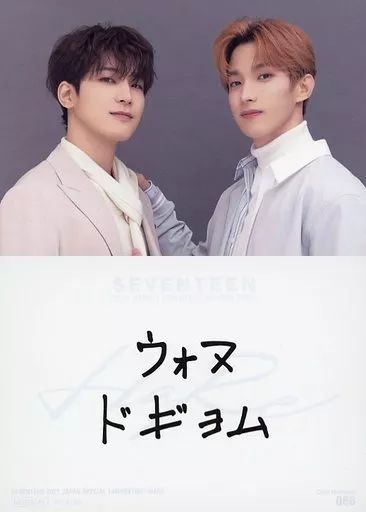 SEVENTEEN ウォヌ ドギョム HARE ペア トレカ SEVENTEEN ウォヌ トレカ セット SEVENTEEN ウォヌ SPILL THE FEELS