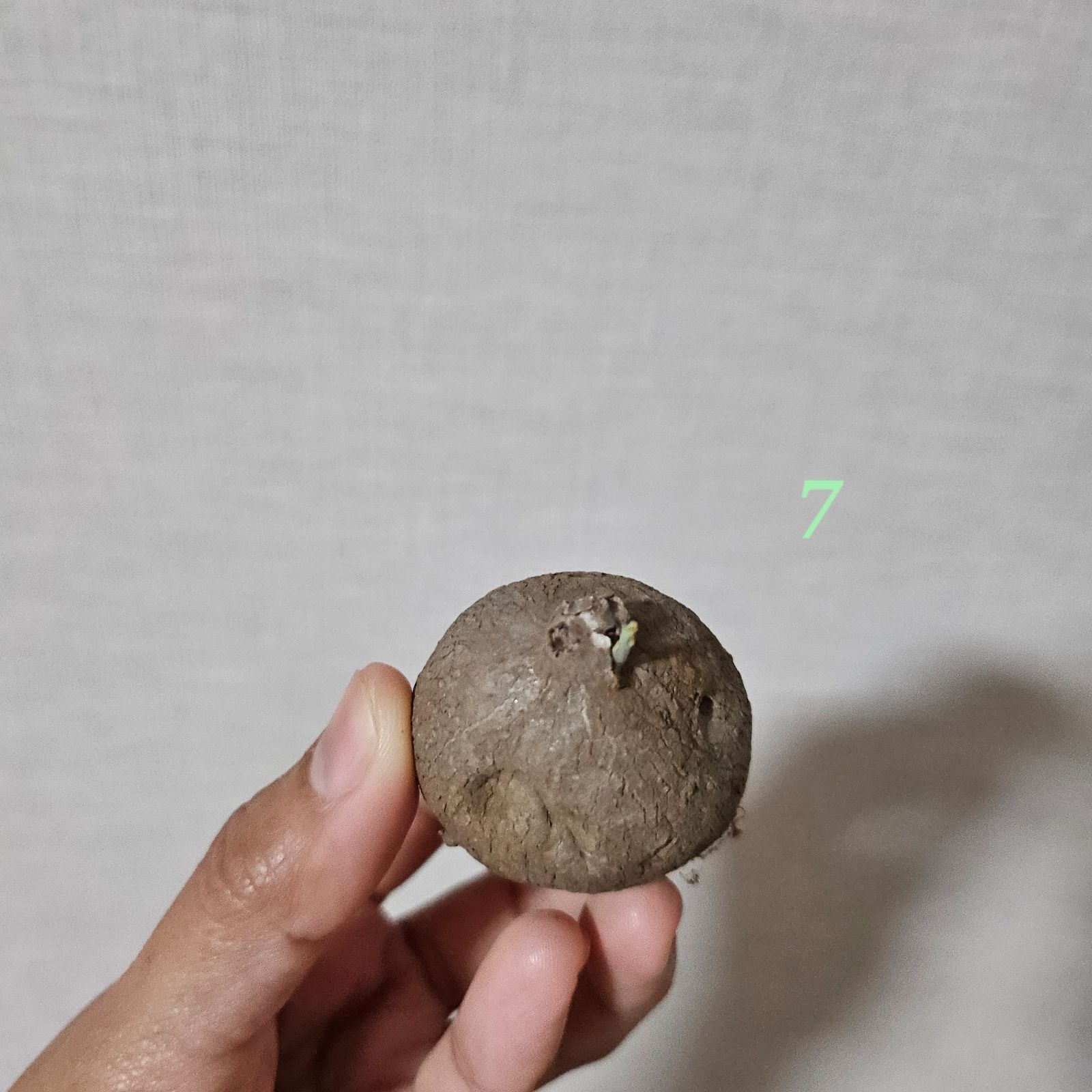 ぴま様》専用ページ - メルカリ