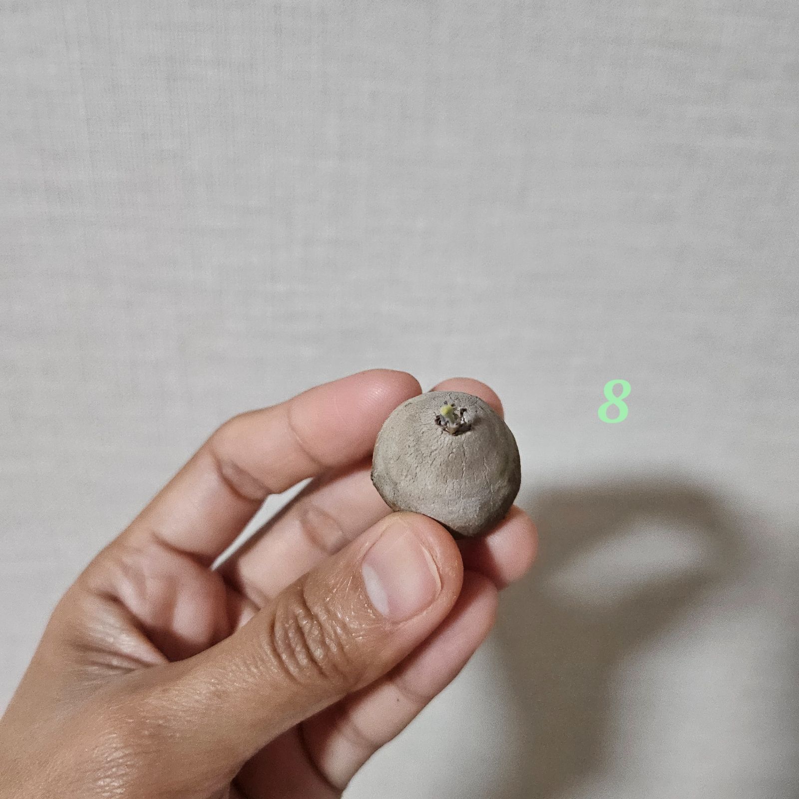 ぴま様》専用ページ - メルカリ