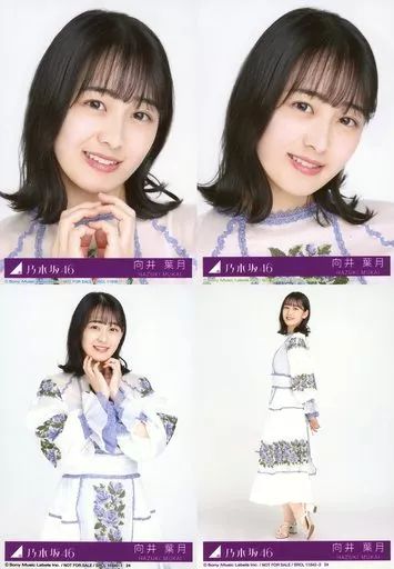 中古】生写真(乃木坂46) ◇向井葉月/24/CD「ごめんねFingers crossed