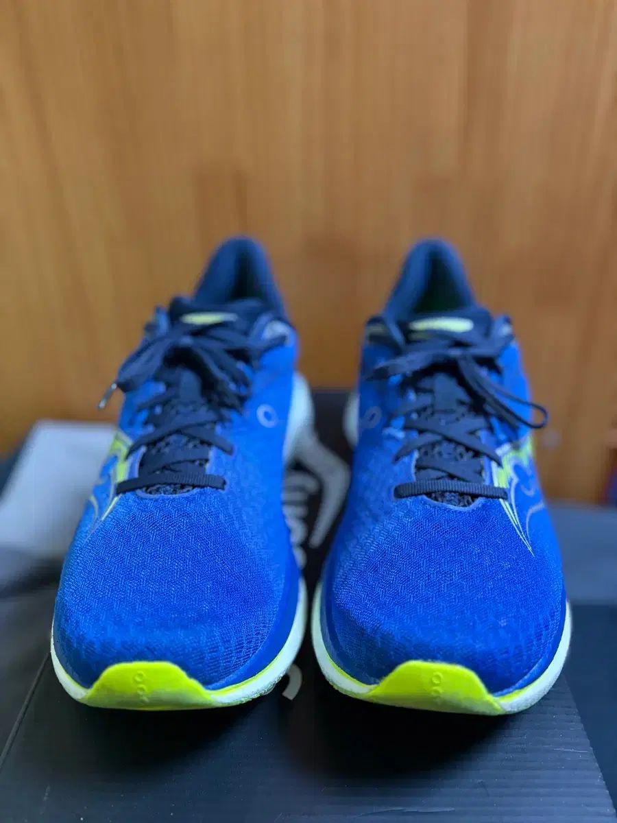  サッカニー エンドルフィンスピード5 285 焚き火台 炭火グリル 登山靴 トレッキングシューズ アウトドアシューズ