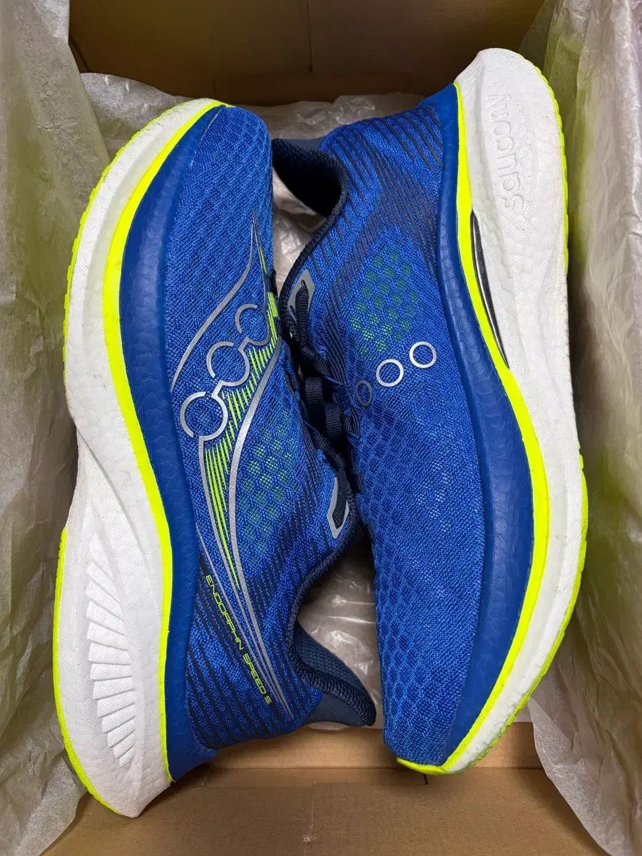 サッカニー エンドルフィンスピード5 285