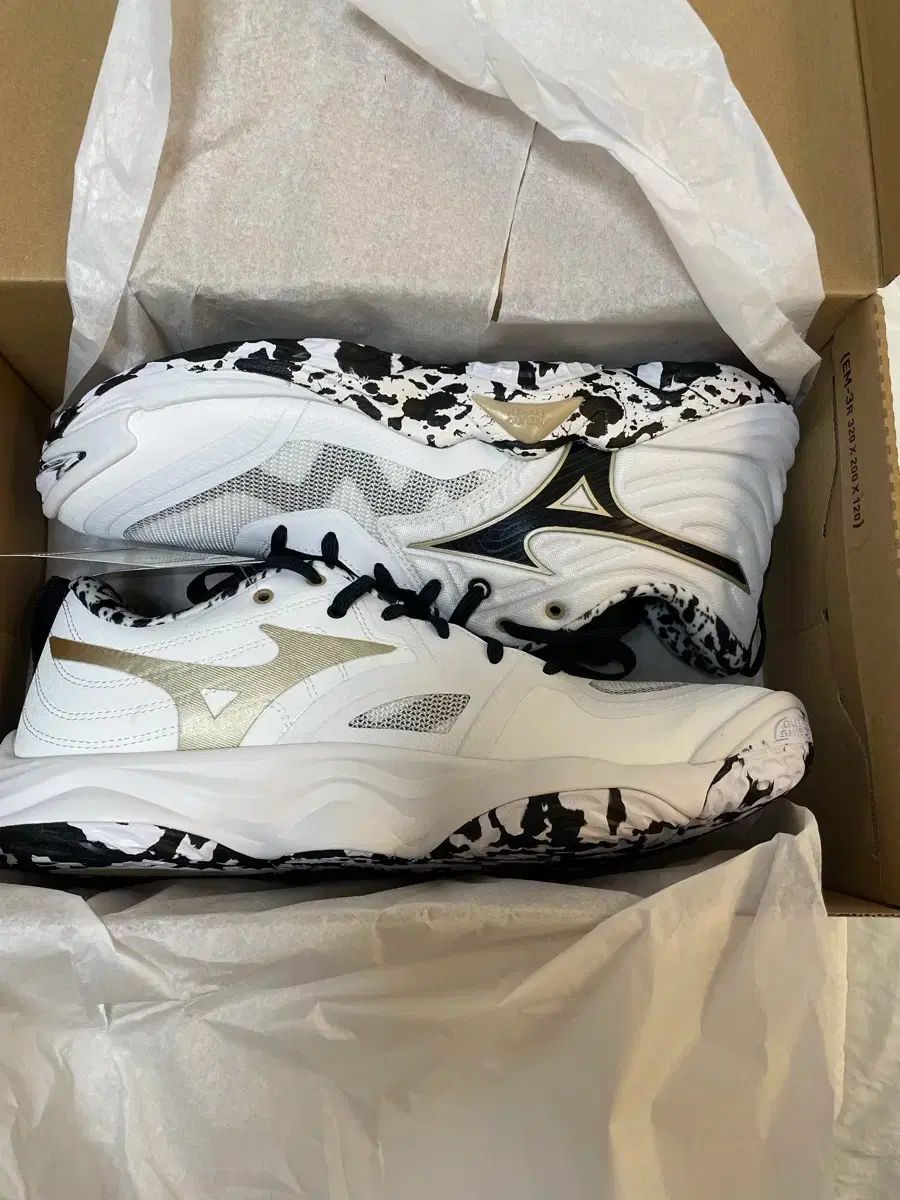 ミズノ バレーボールシューズ 265 良い Mizuno（ミズノ） 波