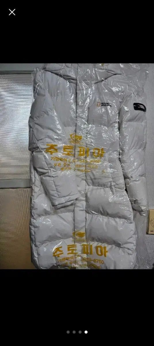 ナショナルジオグラフィックキッズ