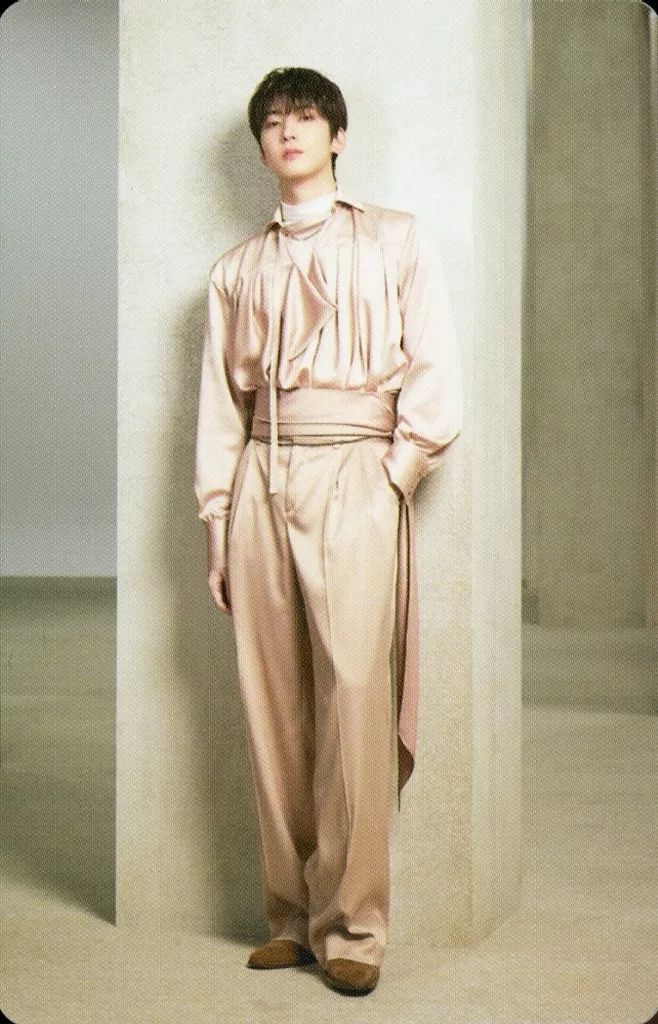 中古】コレクションカード(男性) 34[ノーマル]：SEVENTEEN/ウォヌ