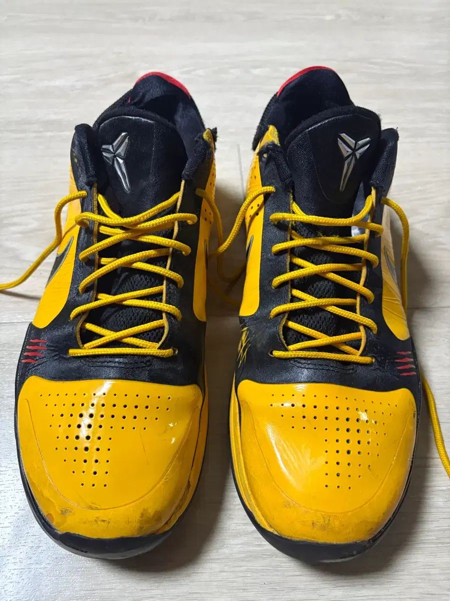 ナイキ コービー5 ブリュース リー 280 size